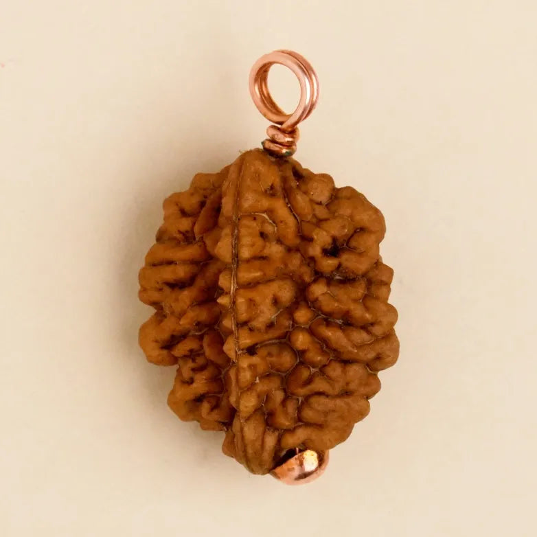 Dwimukhi Rudraksha Bead for Couples (Consecrated)