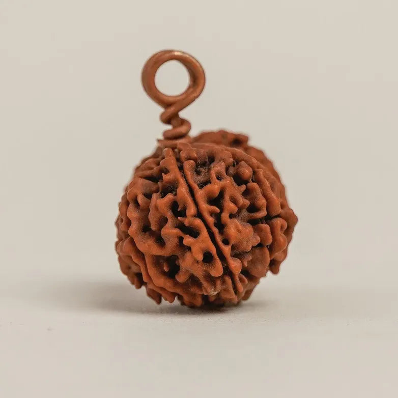 Gaurishankar Rudraksha Bead (Consecrated)