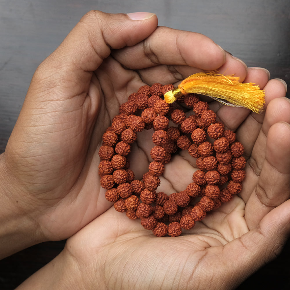 Panchamukhi Rudraksha