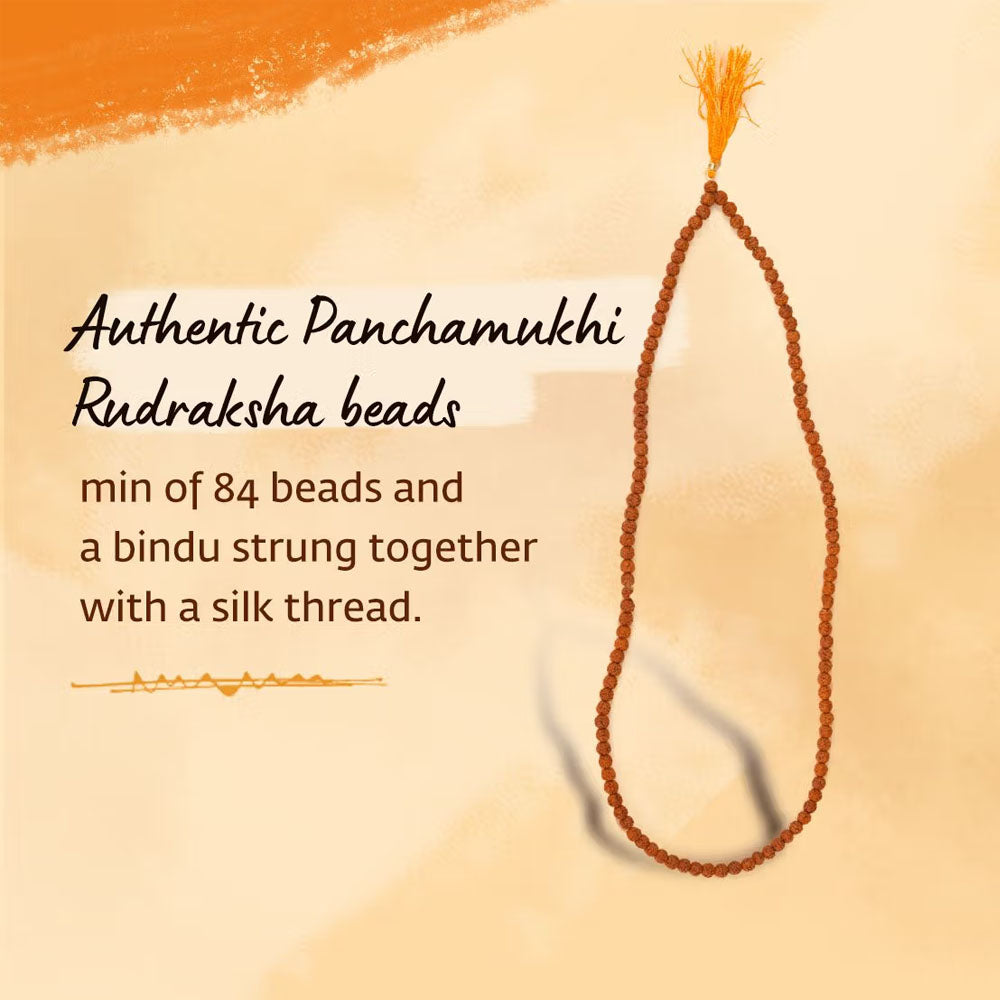 Panchamukhi Rudraksha