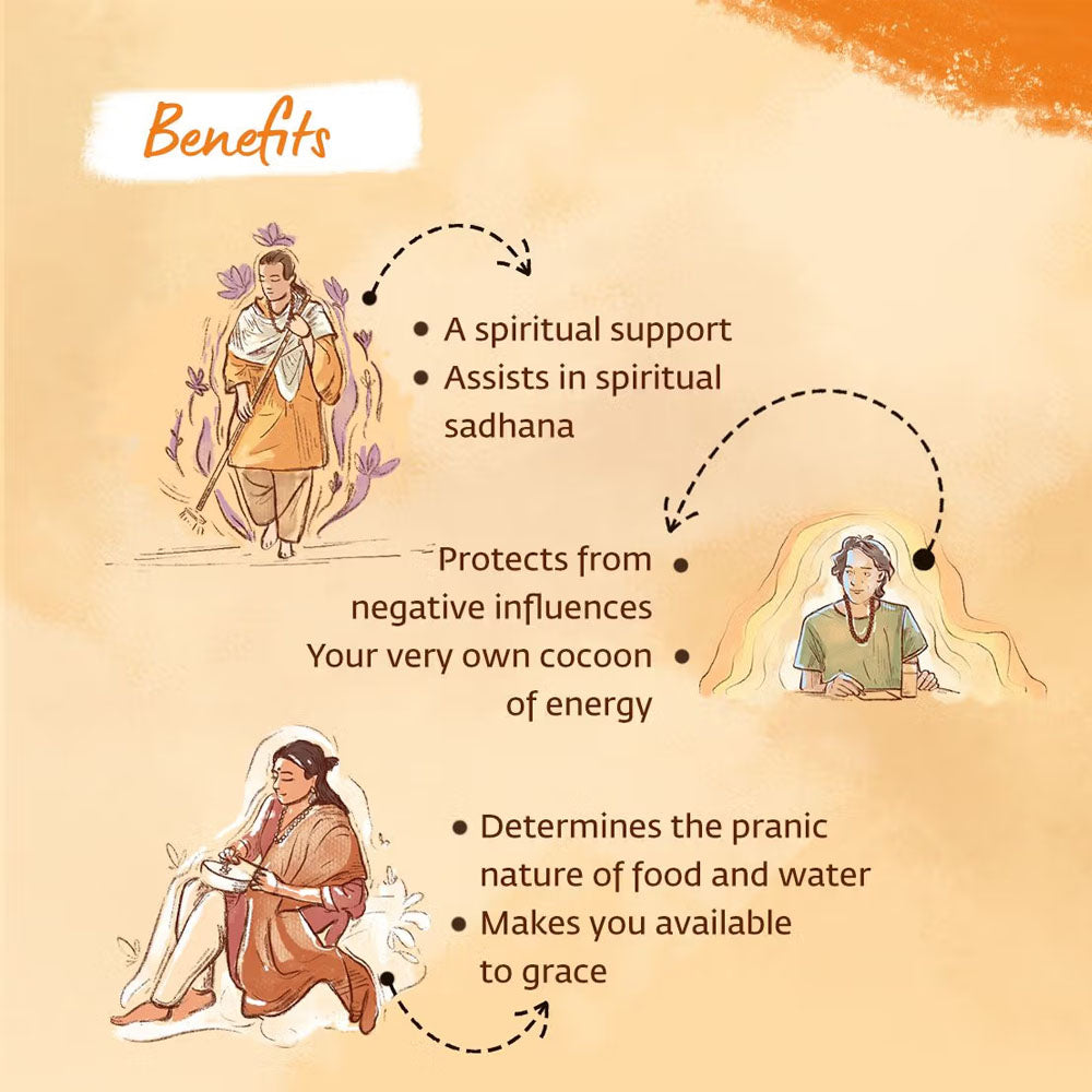 Panchamukhi Rudraksha