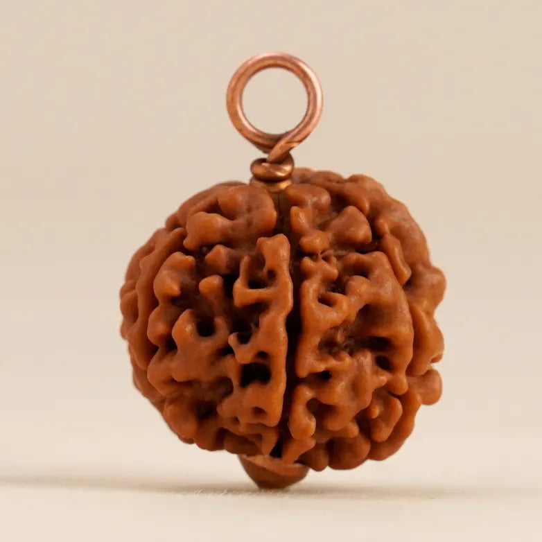 Shanmukhi Rudraksha Bead for Children (Consecrated)