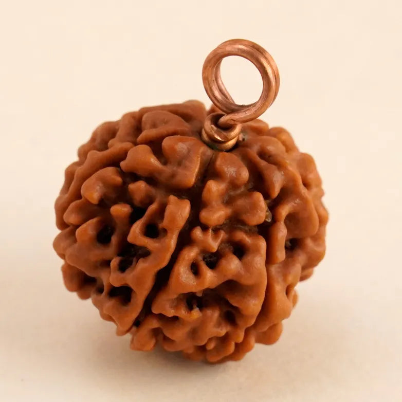 Shanmukhi Rudraksha Bead for Children (Consecrated)