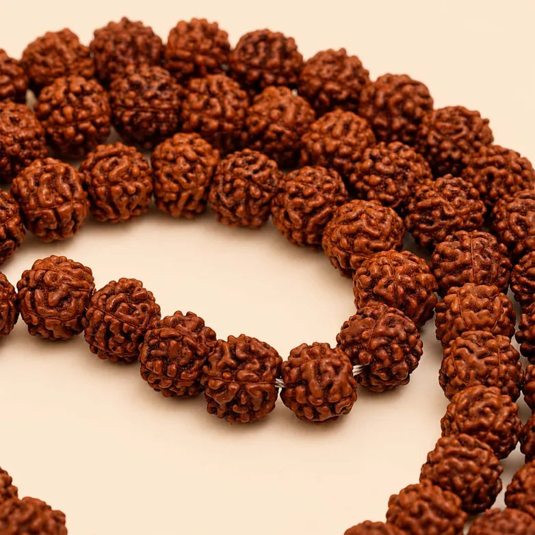 Panchamukhi Rudraksha 5.5mm