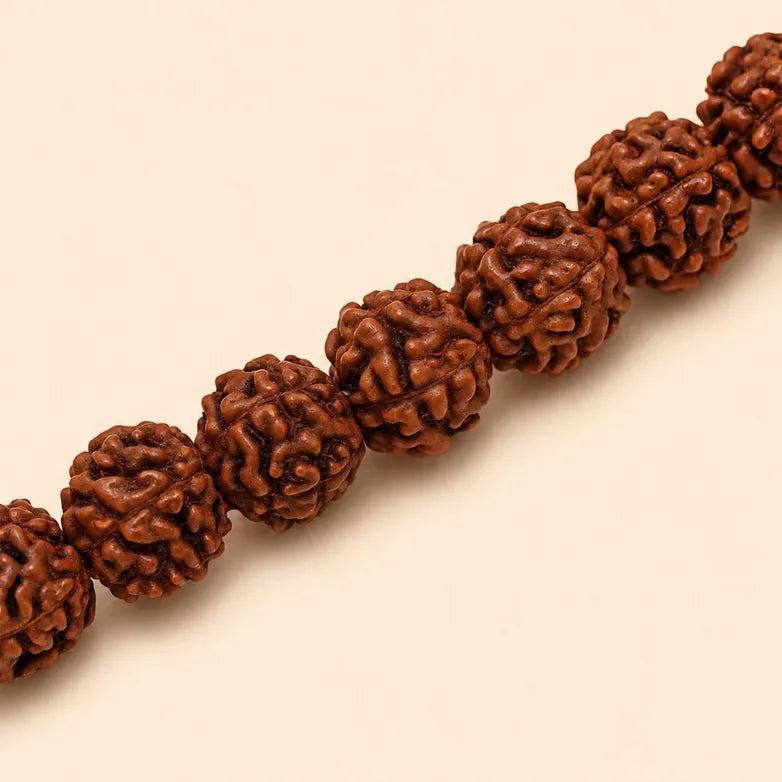 Panchamukhi Rudraksha 5.5mm